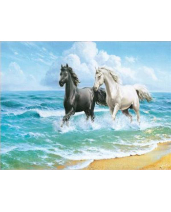 ju-piter Diamentowa mozaika Konie na plaży 60603