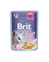 Brit Cat Pouch Jelly Fillet Family Plate 1020g (12x85g) - nr 1