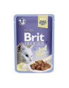 Brit Cat Pouch Jelly Fillet Family Plate 1020g (12x85g) - nr 2
