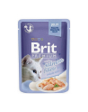 Brit Cat Pouch Jelly Fillet Family Plate 1020g (12x85g) - nr 4