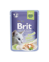 Brit Cat Pouch Jelly Fillet Family Plate 1020g (12x85g) - nr 5