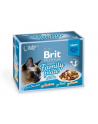 Brit Cat Pouch Gravy Fillet Family Plate 1020g (12x85g) - nr 1