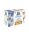 Brit Care Cat FJ Flavour Box in Jelly Pouch 12x85g - nr 1