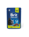 Brit Premium By Nature Lamb for Sterilized 100g - nr 1
