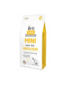 Brit Care Mini GF Hair ' Skin 7kg - nr 1