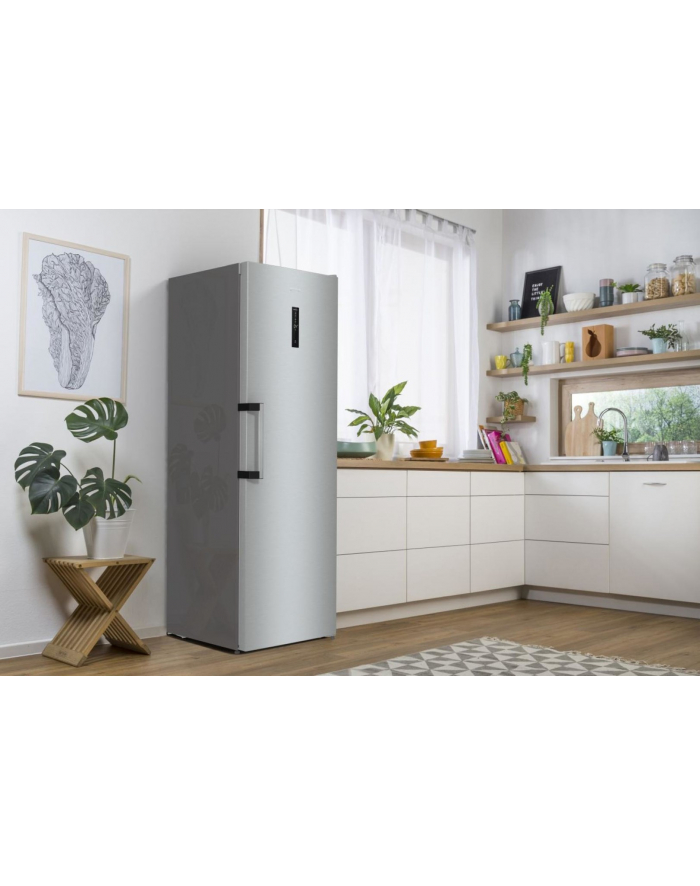 gorenje Chłodziarka R619EAXL6 główny