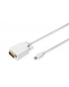 Kabel adapter DIGITUS DisplayPort mini /M - DVI-D (24+1) /M, 2m - nr 1