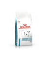 Karma Royal Canin Skin Care (2 kg ) - nr 1