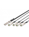 DIGITUS  KABEL DO BEZPOŚREDNIEGO POŁĄCZENIA 40G QSFP+ DO 4XSFP+ 5M  () - nr 8