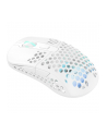 Xtrfy M42 Wireless RGB White (M42WRGBWHITE) - nr 45