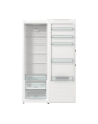 gorenje Chłodziarka R619EAW6 - nr 5