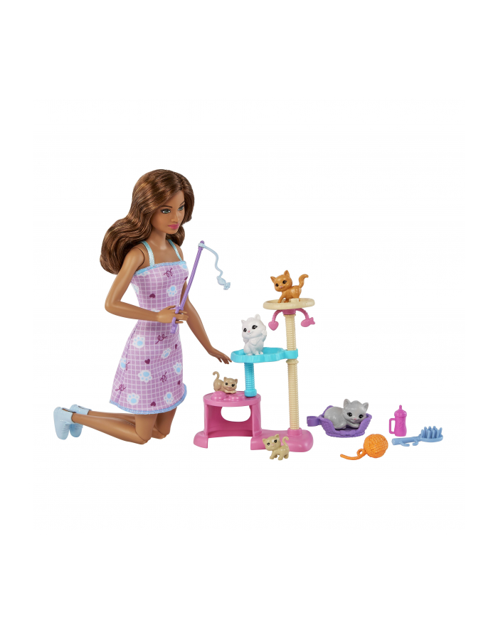 Mattel Barbie doll and kitten scratching post playset główny