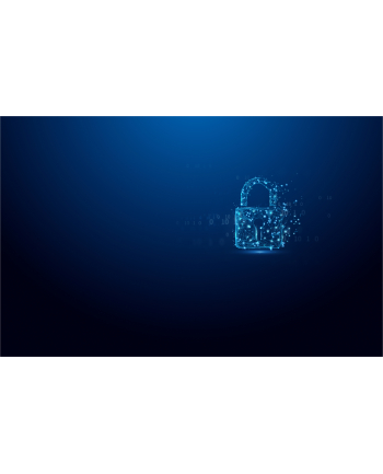 kingston Pendrive 32GB IronKey Vault Privacy 50C AES-256 FIPS-197 nr 2