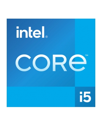 Intel S1700 CORE i5 13400 TRAY GEN13 nr 1