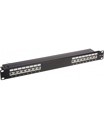 DeLOCK 19  patch panel 16 port Cat.6A (Kolor: CZARNY, 1 U)