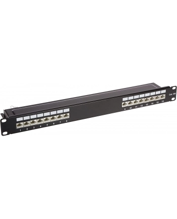 DeLOCK 19 patch panel 16 port Cat.6A (Kolor: CZARNY, 1 U)