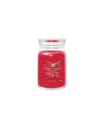 Yankee Candle Signature Sparkling Cinnamon Świeca Duża 567g