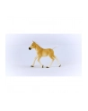 Schleich 13951 Źrebak rasy Haflinger Horse Club - nr 10