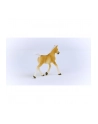 Schleich 13951 Źrebak rasy Haflinger Horse Club - nr 12