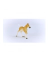 Schleich 13951 Źrebak rasy Haflinger Horse Club - nr 14