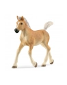 Schleich 13951 Źrebak rasy Haflinger Horse Club - nr 17