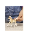 Schleich 13951 Źrebak rasy Haflinger Horse Club - nr 1