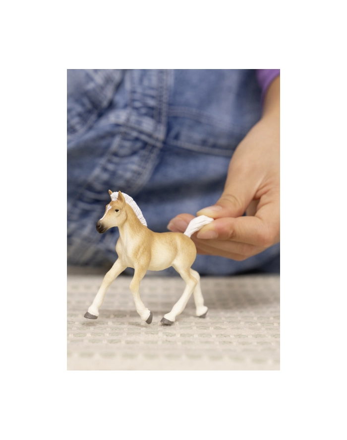 Schleich 13951 Źrebak rasy Haflinger Horse Club główny