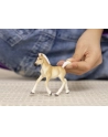 Schleich 13951 Źrebak rasy Haflinger Horse Club - nr 4