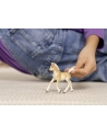 Schleich 13951 Źrebak rasy Haflinger Horse Club - nr 5