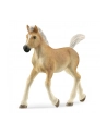 Schleich 13951 Źrebak rasy Haflinger Horse Club - nr 8