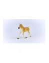 Schleich 13951 Źrebak rasy Haflinger Horse Club - nr 9