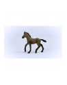 Schleich 13954 Źrebak rasy Paso Peruano Horse Club - nr 10