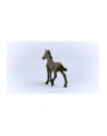 Schleich 13954 Źrebak rasy Paso Peruano Horse Club - nr 11