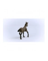 Schleich 13954 Źrebak rasy Paso Peruano Horse Club - nr 12