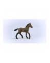 Schleich 13954 Źrebak rasy Paso Peruano Horse Club - nr 13