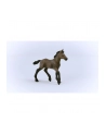 Schleich 13954 Źrebak rasy Paso Peruano Horse Club - nr 14