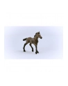 Schleich 13954 Źrebak rasy Paso Peruano Horse Club - nr 15