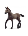 Schleich 13954 Źrebak rasy Paso Peruano Horse Club - nr 17