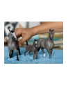 Schleich 13956 Ogier rasy Cheval de Selle Francais Horse Club - nr 1