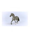 Schleich 13956 Ogier rasy Cheval de Selle Francais Horse Club - nr 6