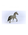 Schleich 13956 Ogier rasy Cheval de Selle Francais Horse Club - nr 8