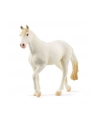 Schleich 13959 Klacz rasy Camarillo Farm World - nr 12