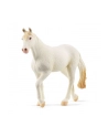 Schleich 13959 Klacz rasy Camarillo Farm World - nr 13