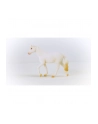 Schleich 13959 Klacz rasy Camarillo Farm World - nr 6