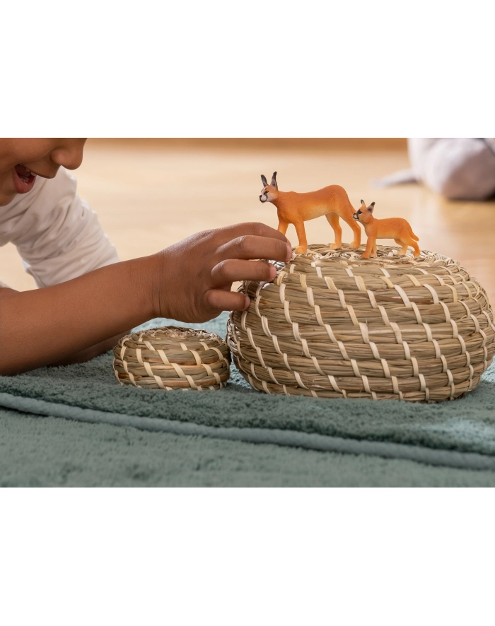 Schleich 14868 Młody Karakal. Wild Life główny