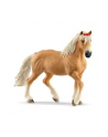Schleich 13950 Klacz rasy Haflinger Horse Club - nr 14