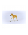 Schleich 13951 Źrebak rasy Haflinger Horse Club - nr 10