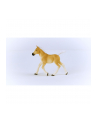 Schleich 13951 Źrebak rasy Haflinger Horse Club - nr 11