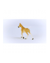 Schleich 13951 Źrebak rasy Haflinger Horse Club - nr 12
