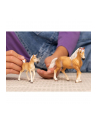 Schleich 13951 Źrebak rasy Haflinger Horse Club - nr 18